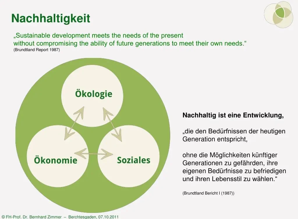 Nachhaltigkeit leben: Praktische Tipps für eine umweltbewusste Zukunft